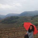 Andreia