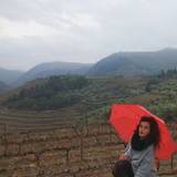 Andreia