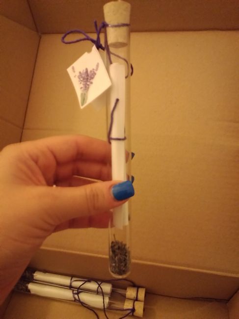 Lavanda/Alfazema Seca 3