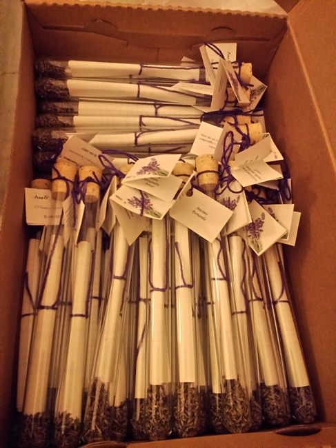 Lavanda/Alfazema Seca 4