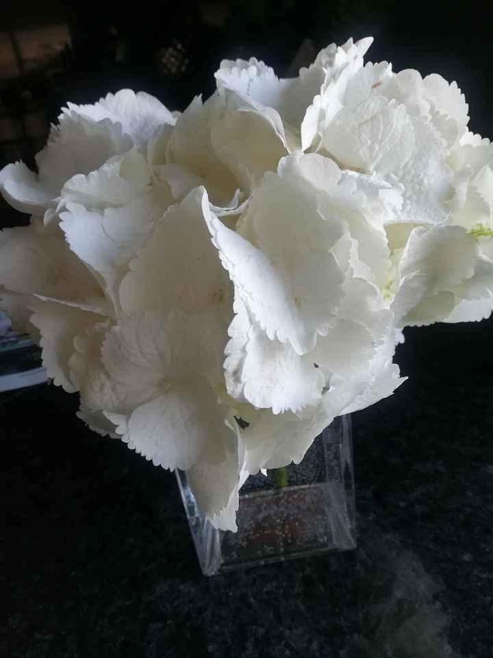Flores - 1