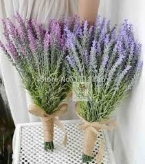 lavanda