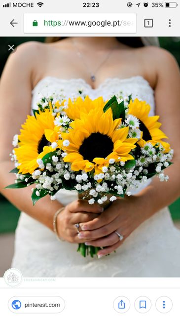 Escolha do ramo para o dia c - 1