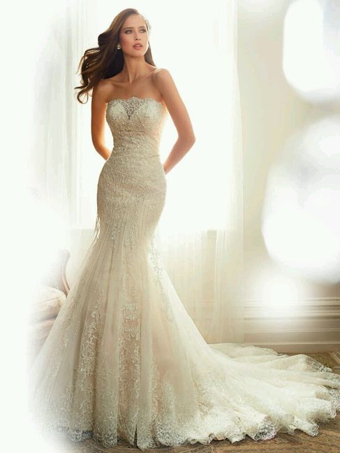 Vestidos sophia tolli - primavera/verão 2015 - 3