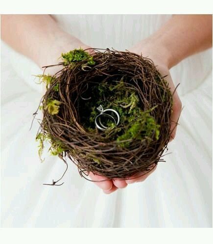 Tema casamento love birds - 24