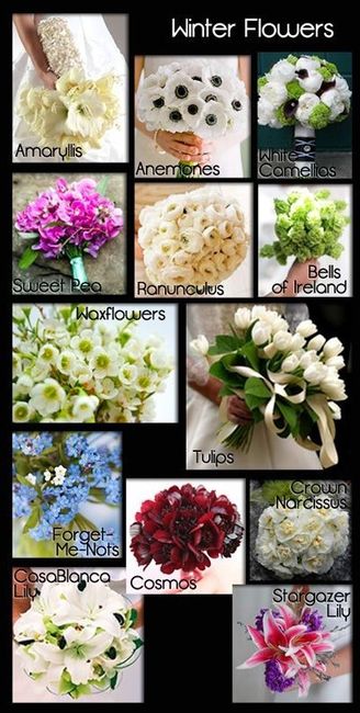 Flores de inverno