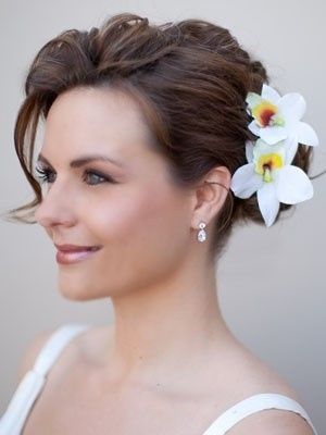 Ideias orquídeas