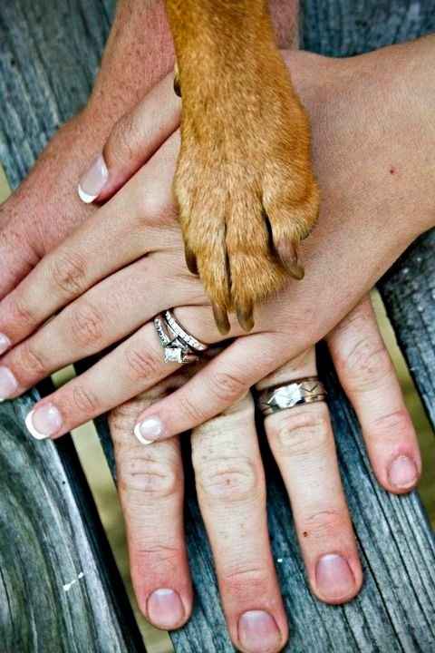 Fotos de casamento com cÃ£es
