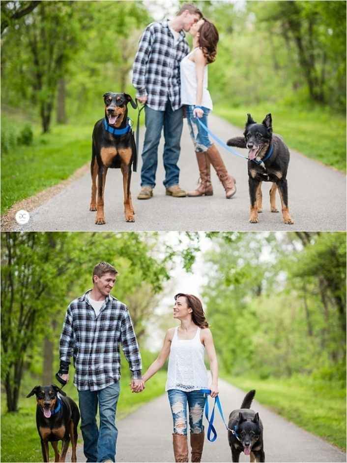 Fotos de casamento com cÃ£es