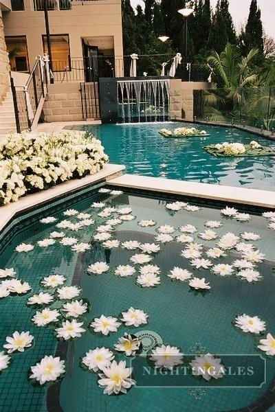 Decoração de piscinas 