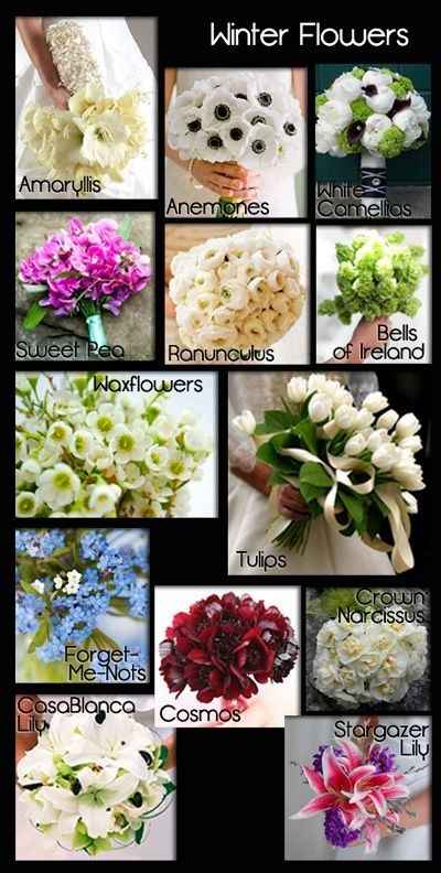 Flores de inverno