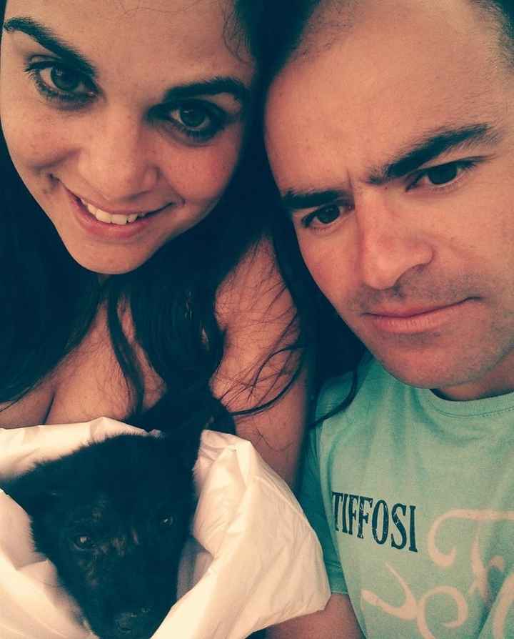 O nosso cãozito
