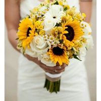 Levarias uma rosa em lugar de um bouquet? - 1