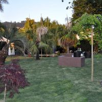 Jardim 