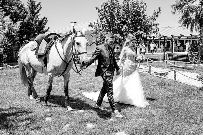 Casamento de sonho! - 2