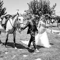 Casamento de sonho! - 2