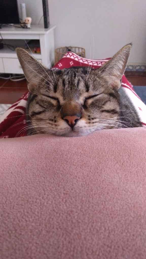 Vestidos de noiva lindos 🤤- novas promoções - 1