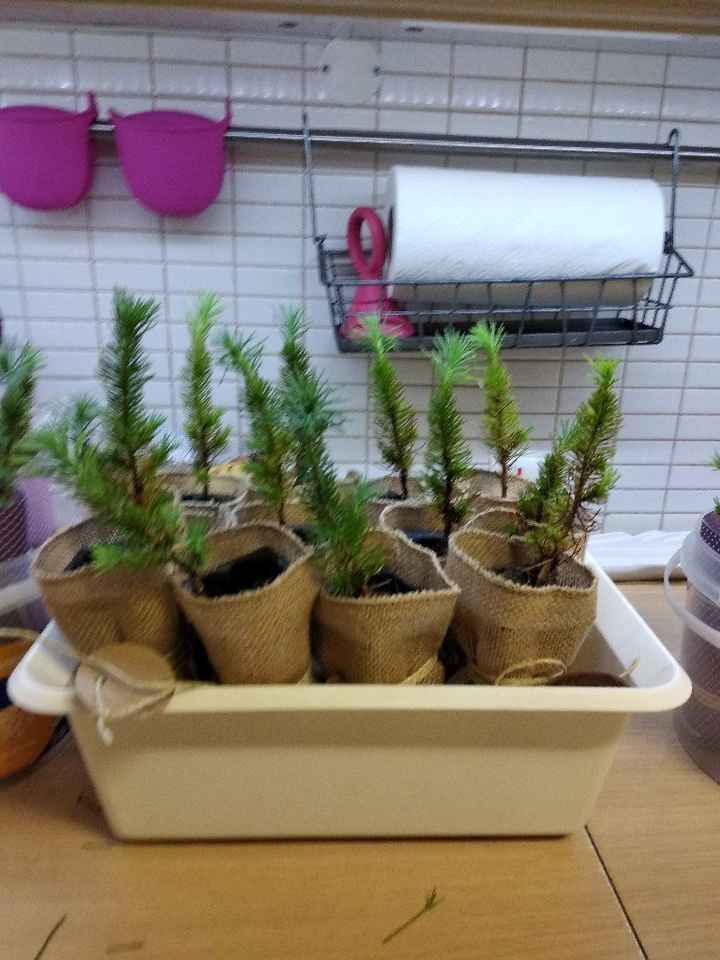 Que lembrança vais dar aos convidados? - 1