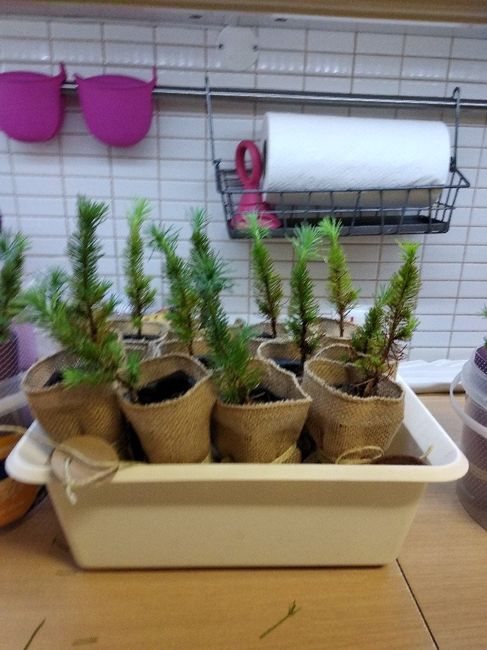 Que lembrança vais dar aos convidados? - 1