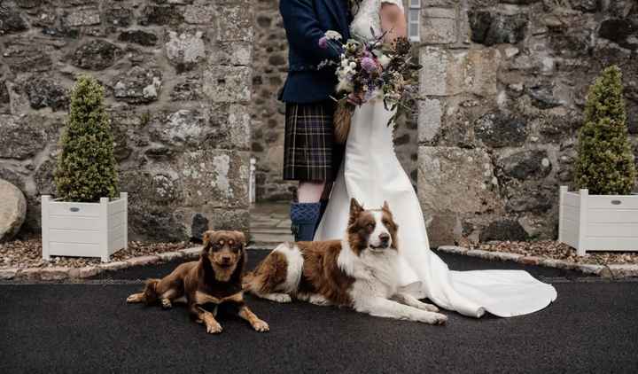 Casamento temático: Outlander  |  Eco-noiv@s 🌱 - 26