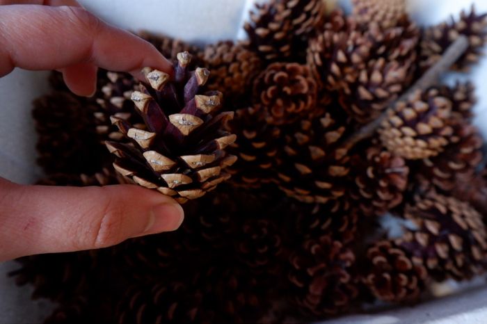 Marcadores de lugar, o que escolher? 5