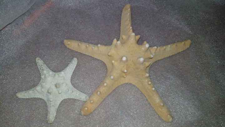 Antes do começo porta alianças - 1