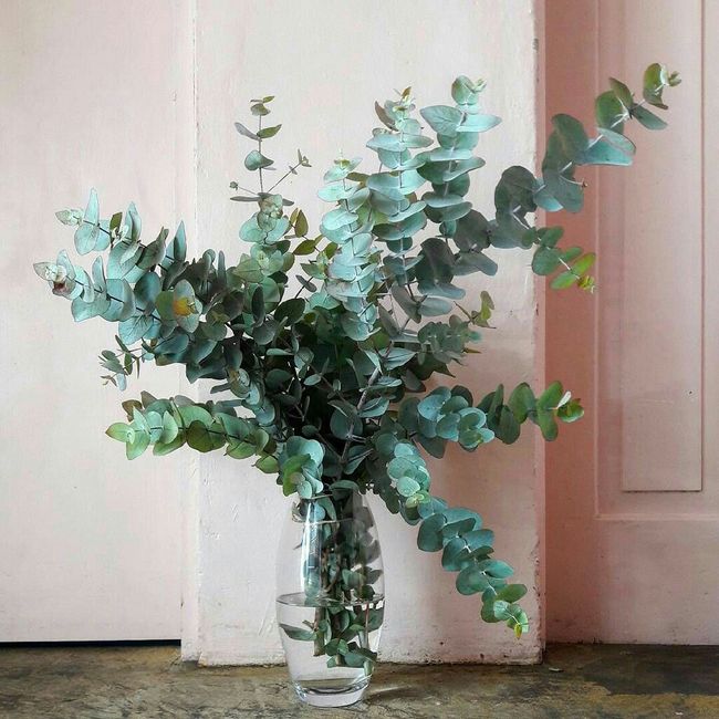 Mostrem-me os vossos centros de mesa 5