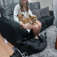Resumo do dia mais lindo - 2