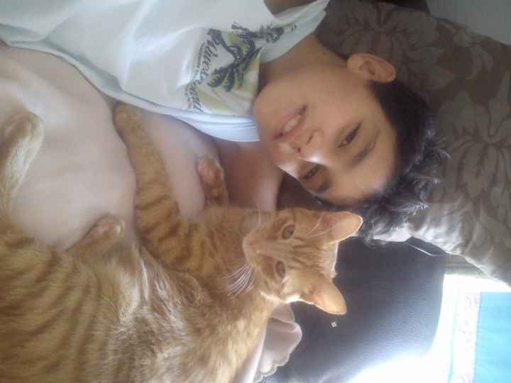 Daniel e o Tiger