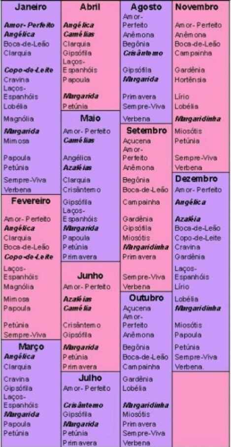 Que flores estão em época em outubro? - 2