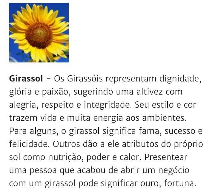 Girassois - 1