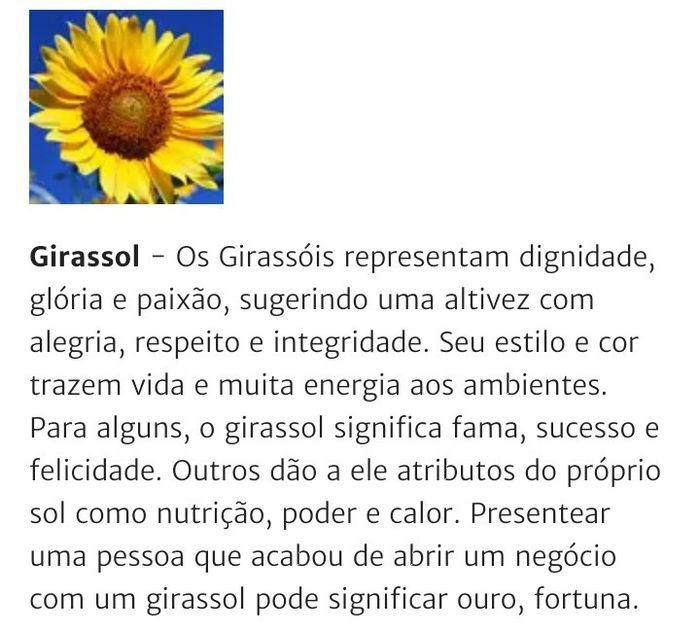 Girassois - 1