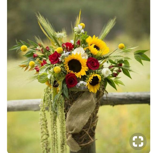 Flores...girassóis! 2