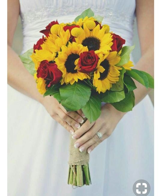 Flores...girassóis! 3