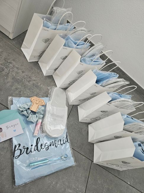 Saquinhos para as minhas damas 1