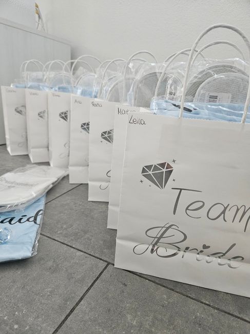 Saquinhos para as minhas damas 2