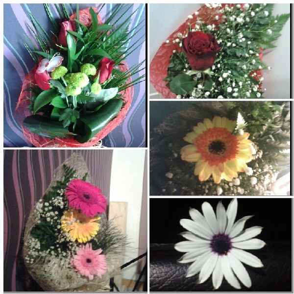 Eles e os ramos de flores - 1