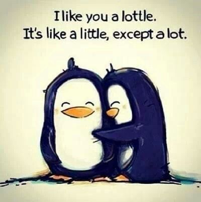 I like you - 1