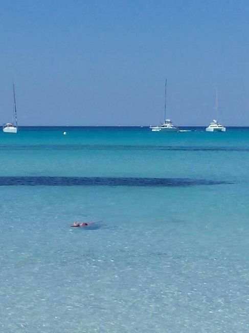 "hotel pinero bahia de palma" - 5