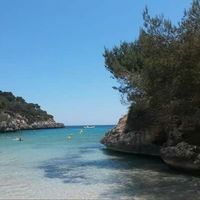 "hotel pinero bahia de palma" - 3