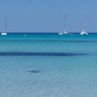 "hotel pinero bahia de palma" - 5