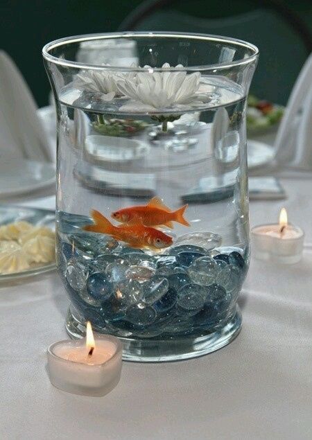 aquario simples