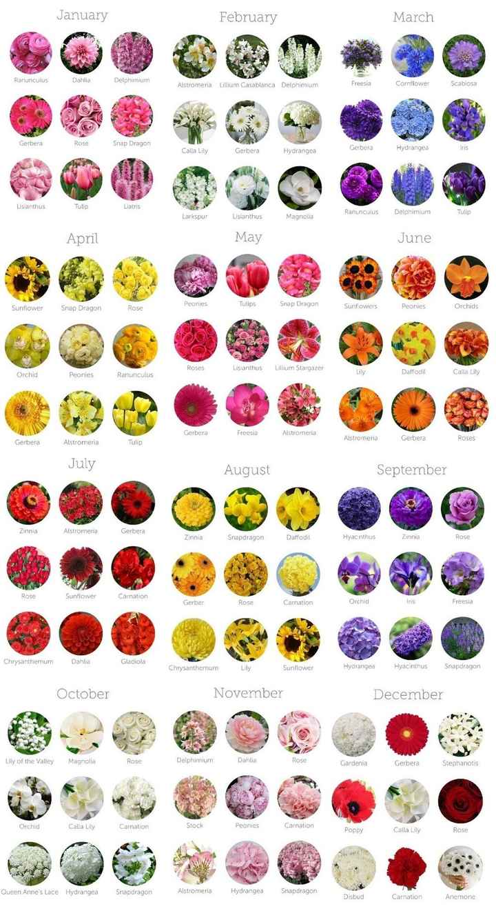 flores por mês