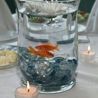 aquario simples