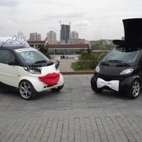 carro dos noivos
