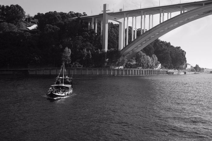 Pedido de casamento no Rio Douro 7