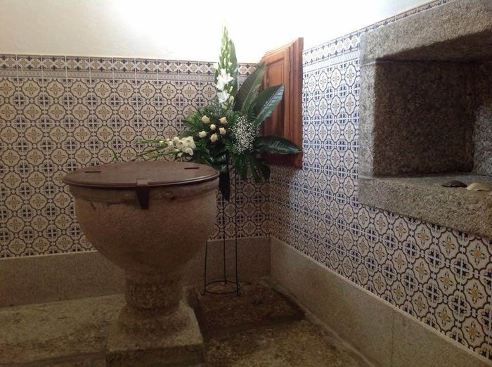 Flores