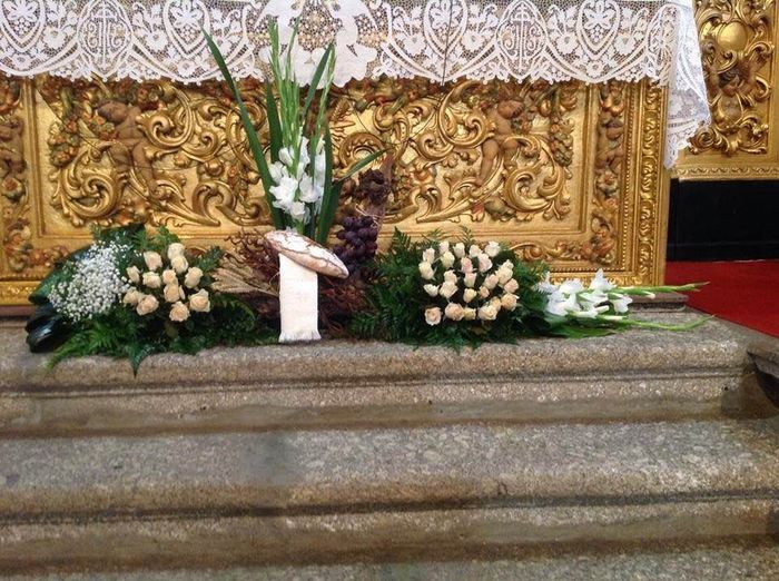 Flores