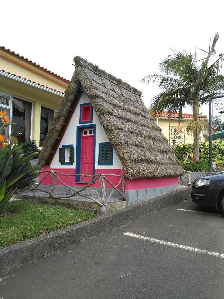 Lua-de-mel na madeira - sugestões ?! - 4
