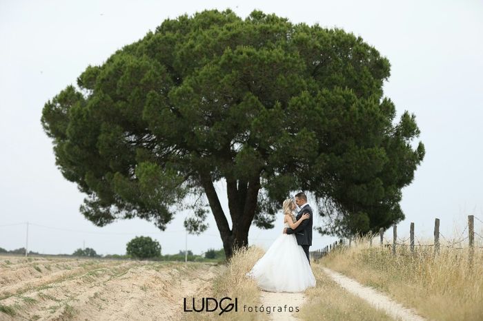 Partilha a foto mais bonita do teu casamento! - 1